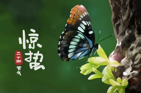 关于惊蛰节气的来历(惊蛰节气的来历和风俗)-第1张图片-百花生活百科知识分享 关于惊蛰节气的来历(惊蛰节气的来历和风俗)-第1张图片-百花生活百科知识分享