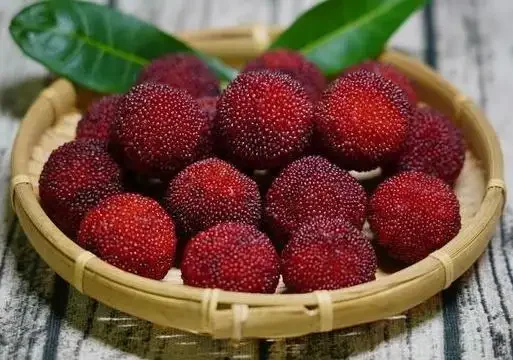 杨梅汁怎么清洗才能洗得干净(杨梅渍怎么清洗才能洗得干净)-第12张图片-百花生活百科知识分享 杨梅汁怎么清洗才能洗得干净(杨梅渍怎么清洗才能洗得干净)-第12张图片-百花生活百科知识分享