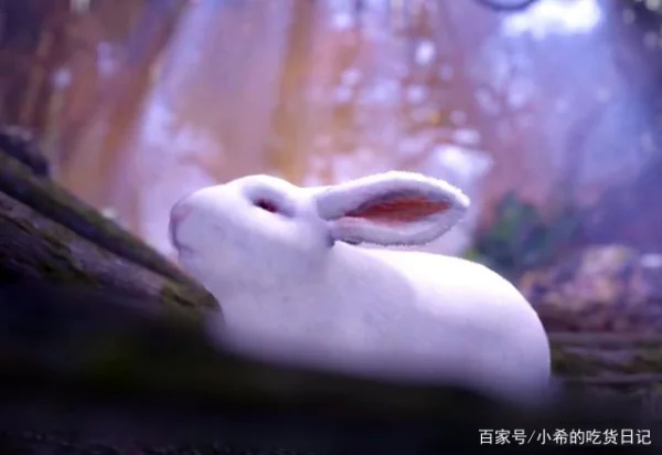 唐三和小舞是真的存在吗-唐三和小舞是谁-第11张图片-百花生活百科知识分享 唐三和小舞是真的存在吗-唐三和小舞是谁-第11张图片-百花生活百科知识分享