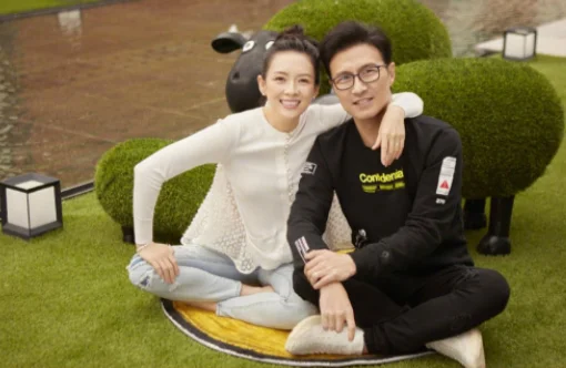 汪峰与章子怡退出共同投资公司,退出的原因是什么--第11张图片-百花生活百科知识分享 汪峰与章子怡退出共同投资公司,退出的原因是什么--第11张图片-百花生活百科知识分享