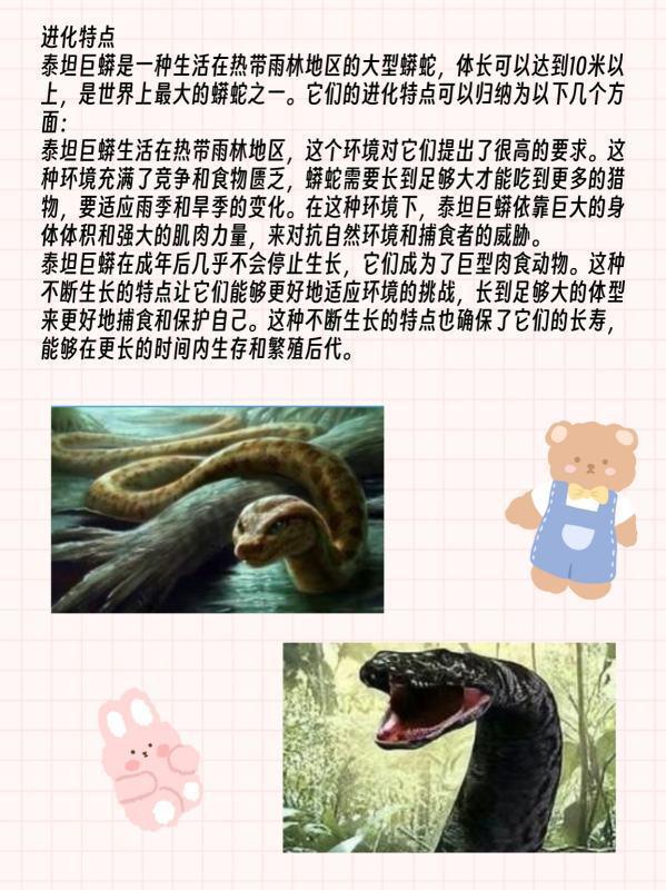 泰坦巨蟒有多大真的存在吗-泰坦巨蟒为何能如此之大-第3张图片-百花生活百科知识分享 泰坦巨蟒有多大真的存在吗-泰坦巨蟒为何能如此之大-第3张图片-百花生活百科知识分享
