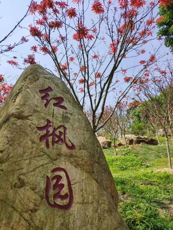 稳稳的幸福歌词含义是什么?_?稳稳的幸福歌词是什么意思?-第9张图片-百花生活百科知识分享 稳稳的幸福歌词含义是什么?_?稳稳的幸福歌词是什么意思?-第9张图片-百花生活百科知识分享