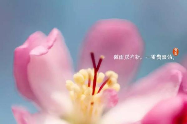 关于惊蛰节气的来历(惊蛰节气的来历和风俗)-第4张图片-百花生活百科知识分享 关于惊蛰节气的来历(惊蛰节气的来历和风俗)-第4张图片-百花生活百科知识分享