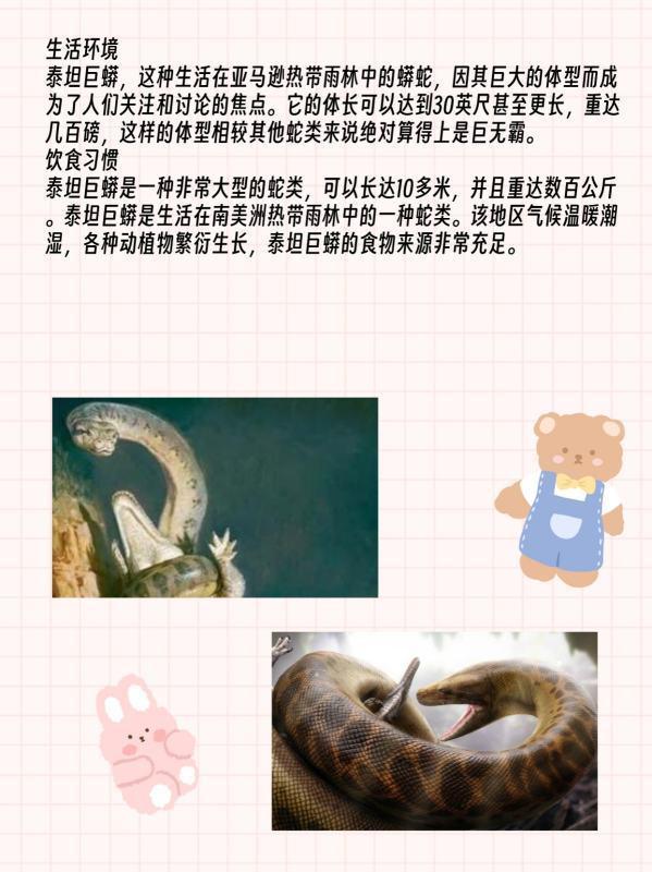 泰坦巨蟒有多大真的存在吗-泰坦巨蟒为何能如此之大-第2张图片-百花生活百科知识分享 泰坦巨蟒有多大真的存在吗-泰坦巨蟒为何能如此之大-第2张图片-百花生活百科知识分享