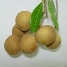 今磨房五谷养生怎么样?我想开家食疗养生店-第4张图片-百花生活百科知识分享 今磨房五谷养生怎么样?我想开家食疗养生店-第4张图片-百花生活百科知识分享