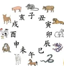 喜从天降打一个生肖-喜从天降代表什么生肖-第4张图片-百花生活百科知识分享 喜从天降打一个生肖-喜从天降代表什么生肖-第4张图片-百花生活百科知识分享