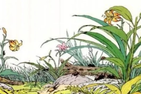 小学草虫的村落教学设计(草虫的村落信息化教学设计流程图)-第4张图片-百花生活百科知识分享 小学草虫的村落教学设计(草虫的村落信息化教学设计流程图)-第4张图片-百花生活百科知识分享