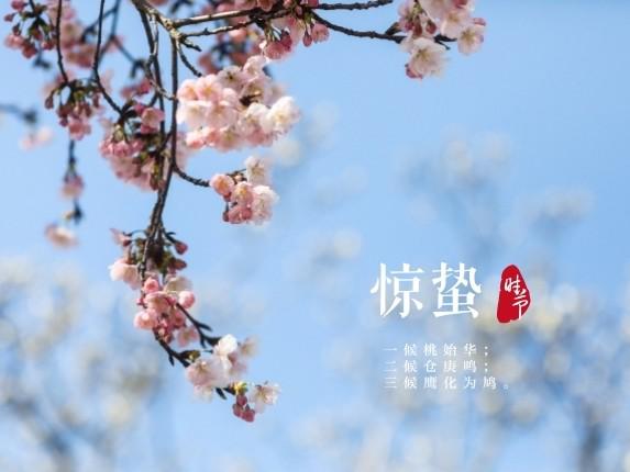 关于惊蛰节气的来历(惊蛰节气的来历和风俗)-第3张图片-百花生活百科知识分享 关于惊蛰节气的来历(惊蛰节气的来历和风俗)-第3张图片-百花生活百科知识分享