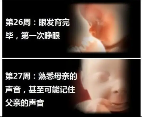 新生儿听力筛查怎么做?新生儿听力障碍怎么办?新生儿听力筛查原理?-第12张图片-百花生活百科知识分享 新生儿听力筛查怎么做?新生儿听力障碍怎么办?新生儿听力筛查原理?-第12张图片-百花生活百科知识分享