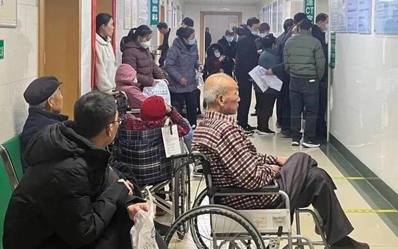 9877海贼王娜米3小游戏-第1张图片-百花生活百科知识分享