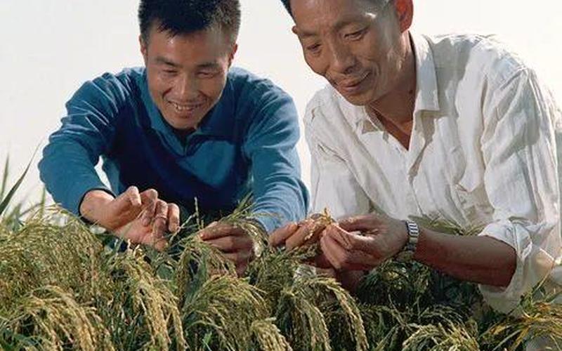 袁隆平哪里人是湖南人吗-第1张图片-百花生活百科知识分享