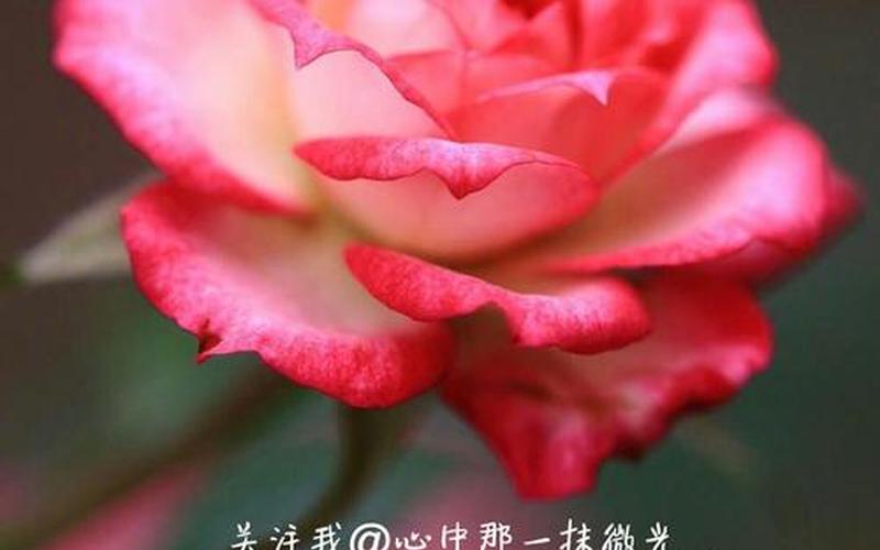 999777用九键打出来是什么-第1张图片-百花生活百科知识分享