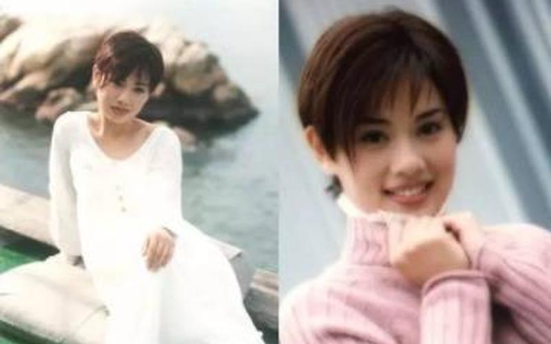 陈松伶05年发生了什么-第1张图片-百花生活百科知识分享