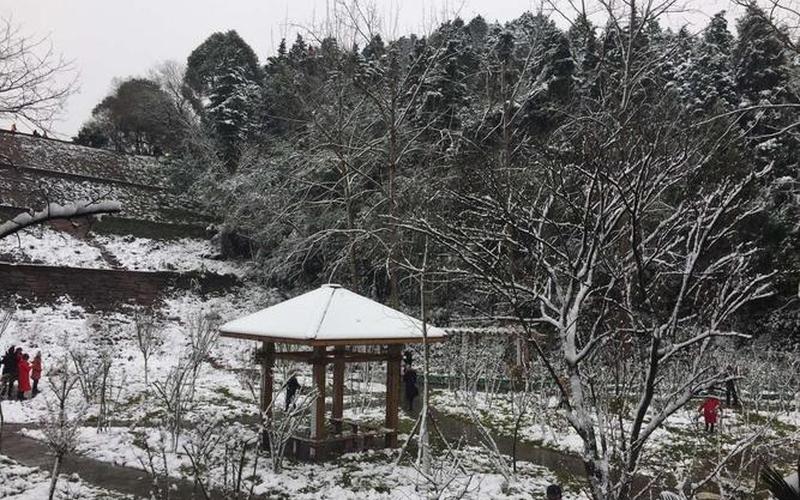 四川这个地方下雪了-第1张图片-百花生活百科知识分享