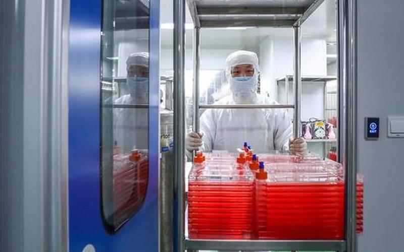 VERO细胞是科兴还是北京生物-第1张图片-百花生活百科知识分享