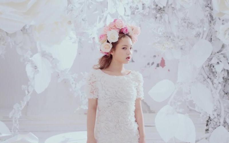 rose 李夏怡 音译歌词-第1张图片-百花生活百科知识分享