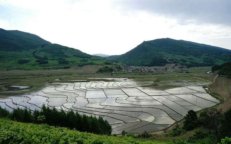 八山一水一分田是什么产业-第1张图片-百花生活百科知识分享