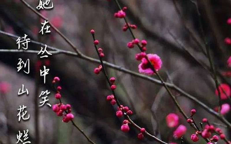 暗香浮动是什么生肖-第1张图片-百花生活百科知识分享