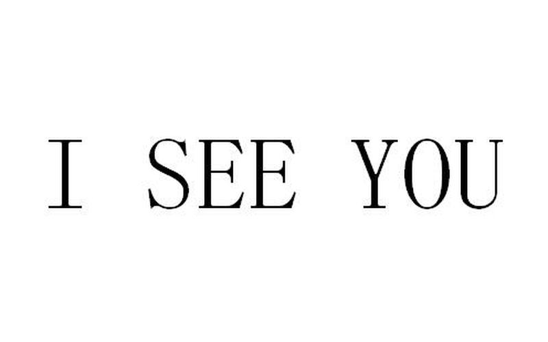 i see you什么意思-第1张图片-百花生活百科知识分享