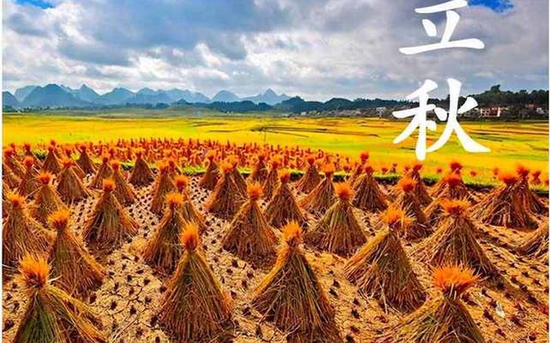 今年立秋是早秋还是晚秋-第1张图片-百花生活百科知识分享