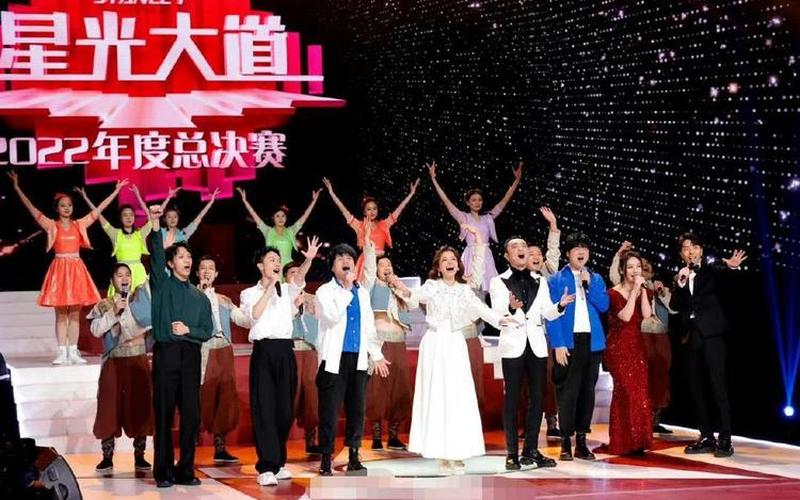 2011星光大道年度总冠军-第1张图片-百花生活百科知识分享