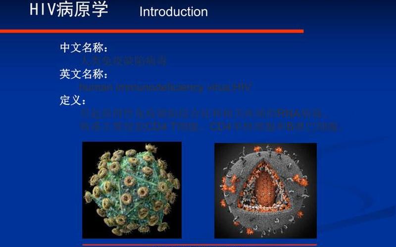 HIV的中文名称是什么？-第1张图片-百花生活百科知识分享