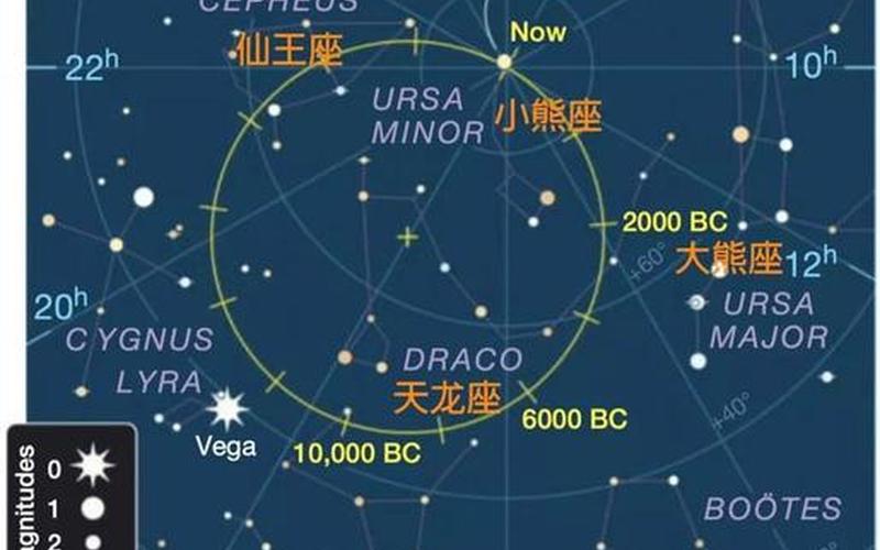 北极星位于哪个星座-第1张图片-百花生活百科知识分享