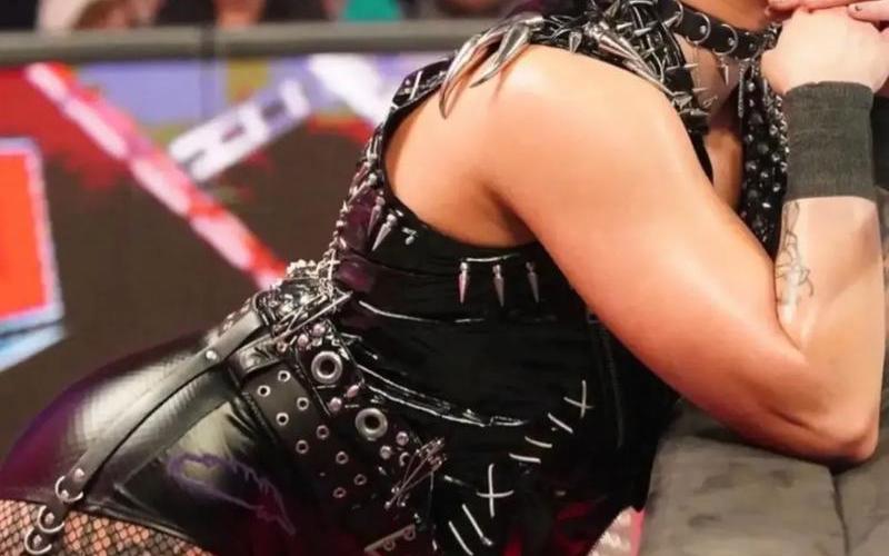 wwe女子美国职业摔角-第1张图片-百花生活百科知识分享
