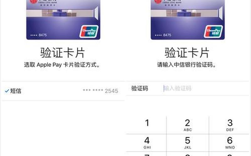 apple pay 安全码-第1张图片-百花生活百科知识分享