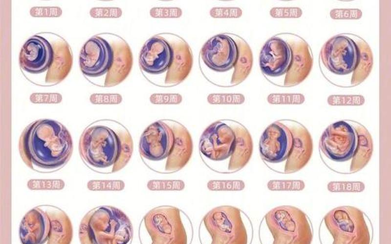 1-30天身体变化-第1张图片-百花生活百科知识分享