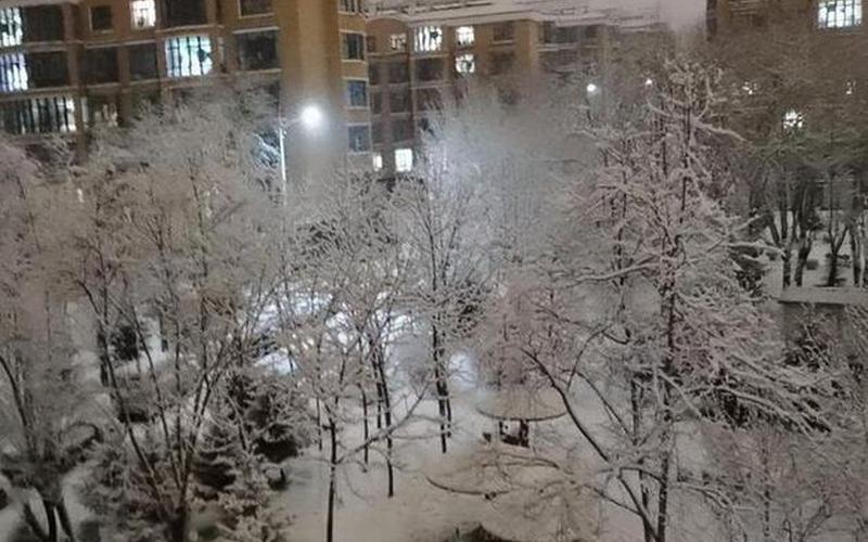2021雷打雪预示大事件-第1张图片-百花生活百科知识分享