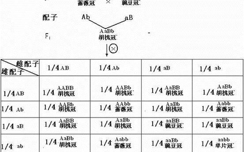 9浅1深左3右3图解视频-第1张图片-百花生活百科知识分享
