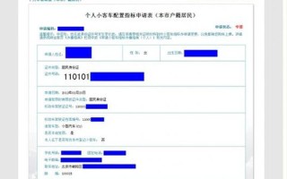 北京市小汽车摇号查询