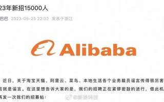 阿里回应退出传闻