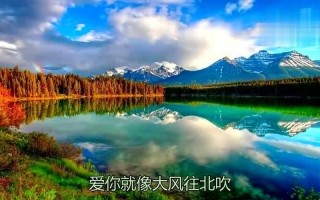 爱你就像大风往北吹