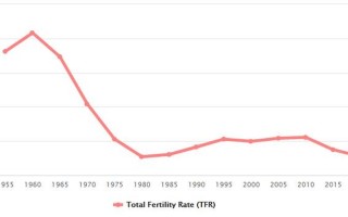 2020年美国总人口多少