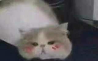 抱着我去哪里哪里