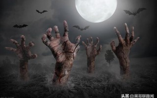 2035年丧尸病毒爆发被证实