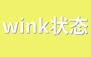 wink什么意思中文翻译