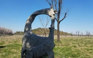 白鹿原上发现小鹿