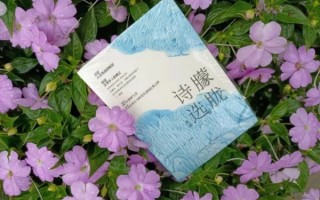 朦胧诗与后朦胧诗的特点各是什么？朦胧诗派的特点 朦胧诗的特点是什么？