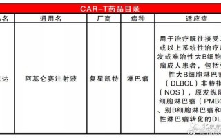 阿基仑赛注射价格