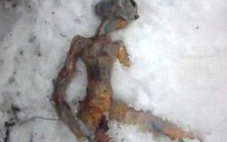 99年发生了什么事