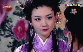 包青天之碧血丹心下载