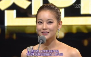 2012演技大赏中字