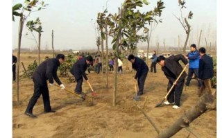 植树节是哪一天,2017年植树节是哪一天？请问植树节是哪一天？