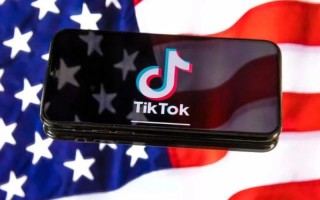 tiktok中文什么意思