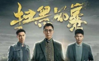 反腐除黑的电视剧？电视剧(比如反黑、反腐)