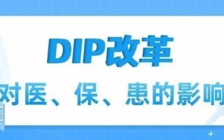 DIP付费是什么意思