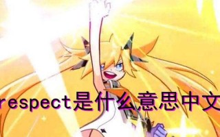 respect是什么意思